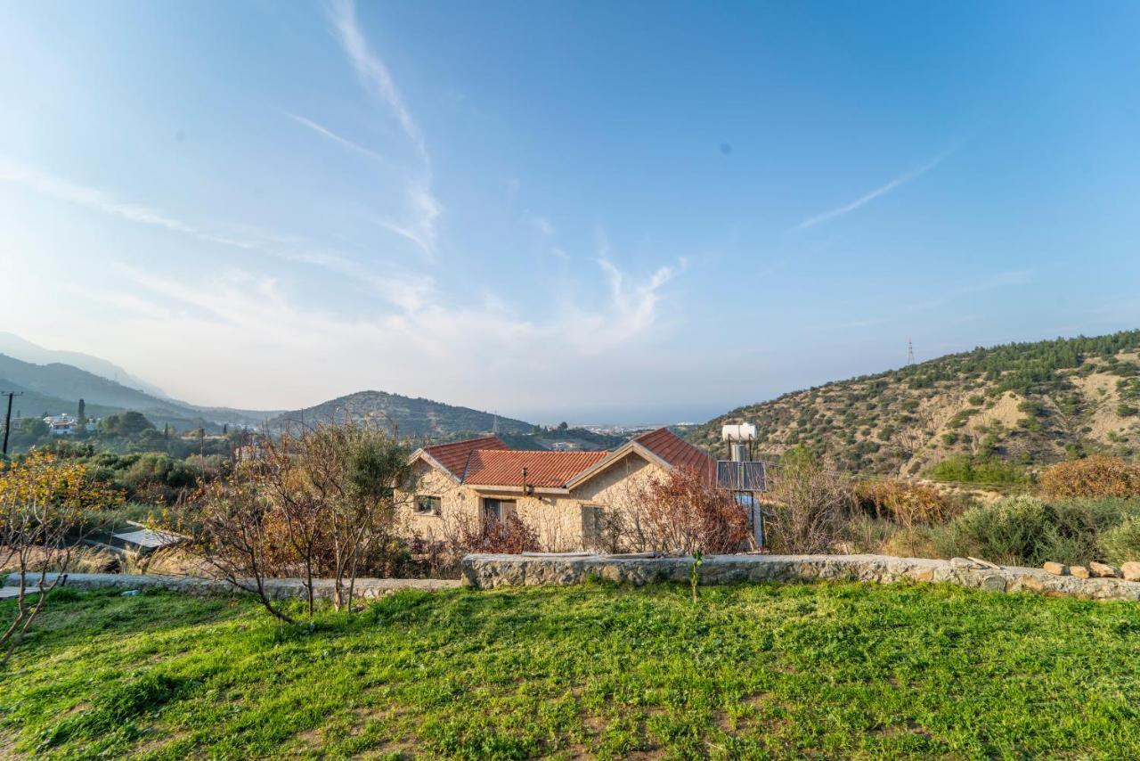 Chardonnay Guest Studio Rooms With Great View For Nature Lovers 凯里尼亚 外观 照片