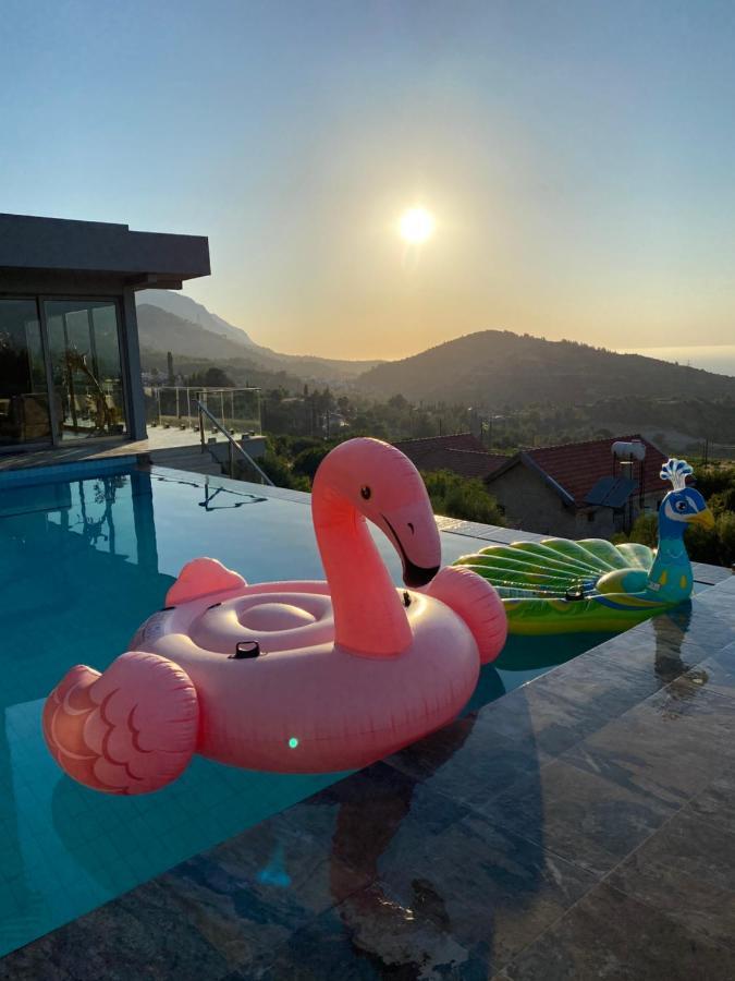 Chardonnay Guest Studio Rooms With Great View For Nature Lovers 凯里尼亚 外观 照片