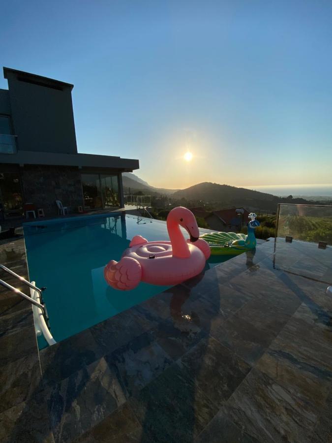 Chardonnay Guest Studio Rooms With Great View For Nature Lovers 凯里尼亚 外观 照片
