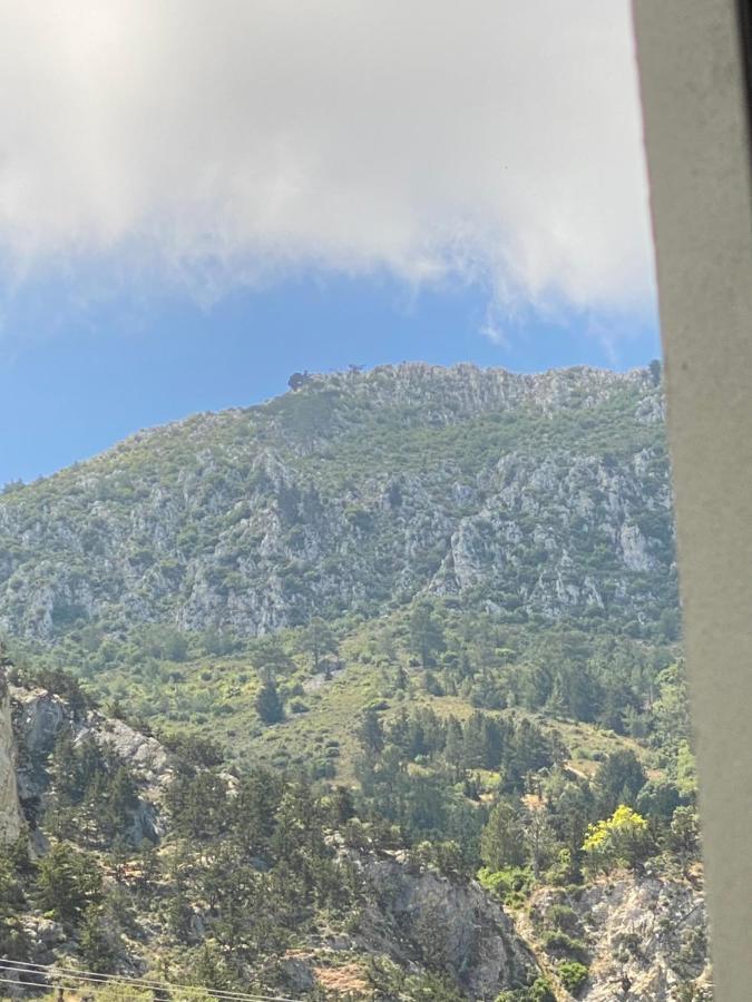 Chardonnay Guest Studio Rooms With Great View For Nature Lovers 凯里尼亚 外观 照片